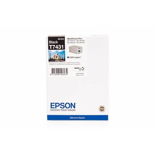 Original Epson C13T74314010 / T7431 Tinte Black